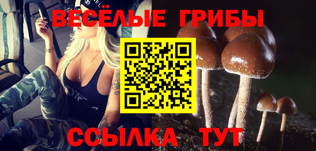 Галлюциногенные грибы GOLDEN TEACHER Алапаевск